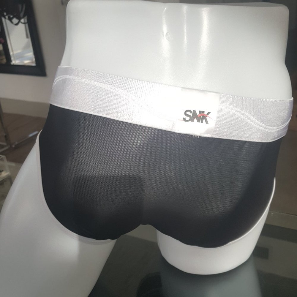 SHEER MESH BRIEF UNDERWEAR WHITE TRIM & WAISTBAND - Picture 2 of 3